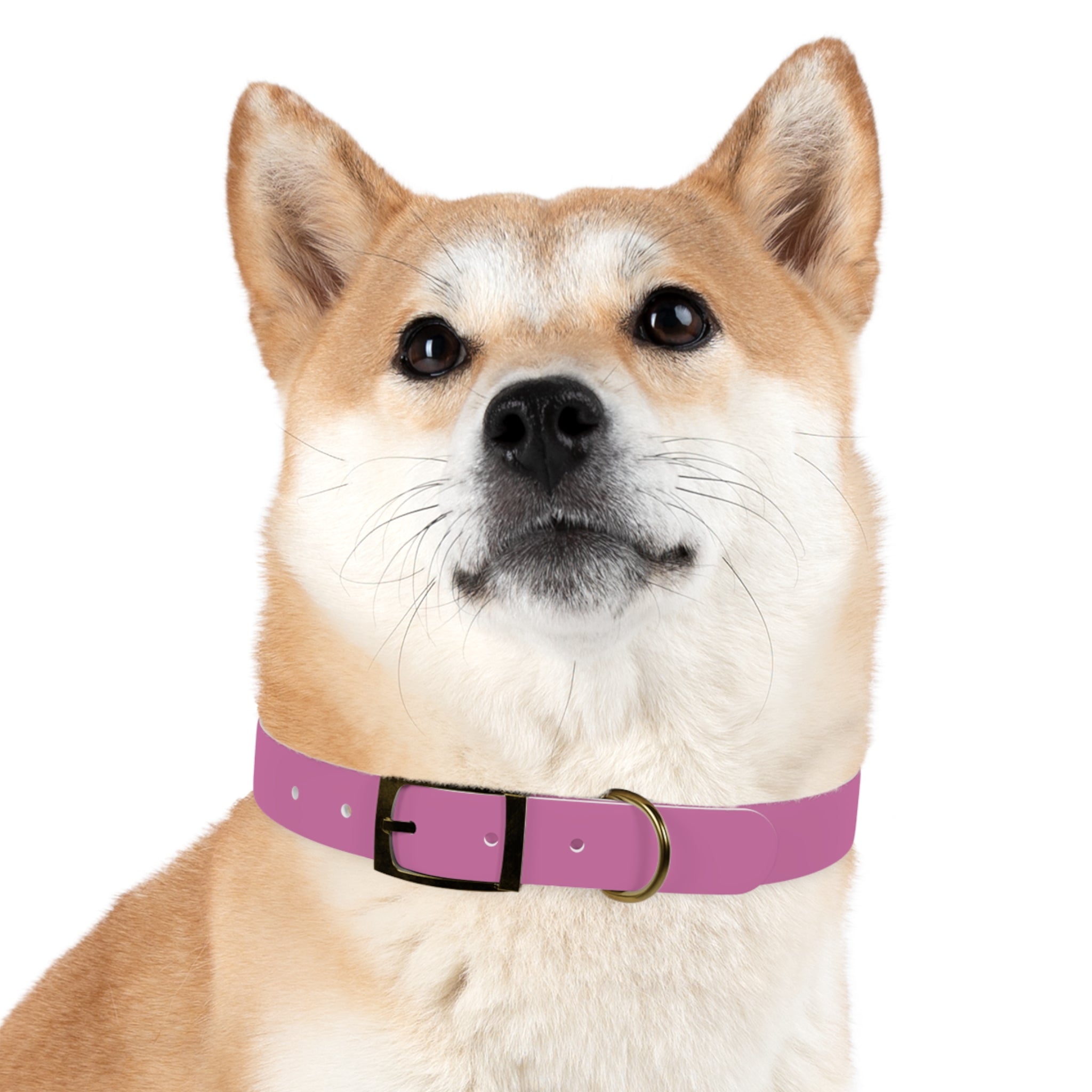 Stylish Pink Dog Collar - 'Petiverse' Design for Fashionable Pets