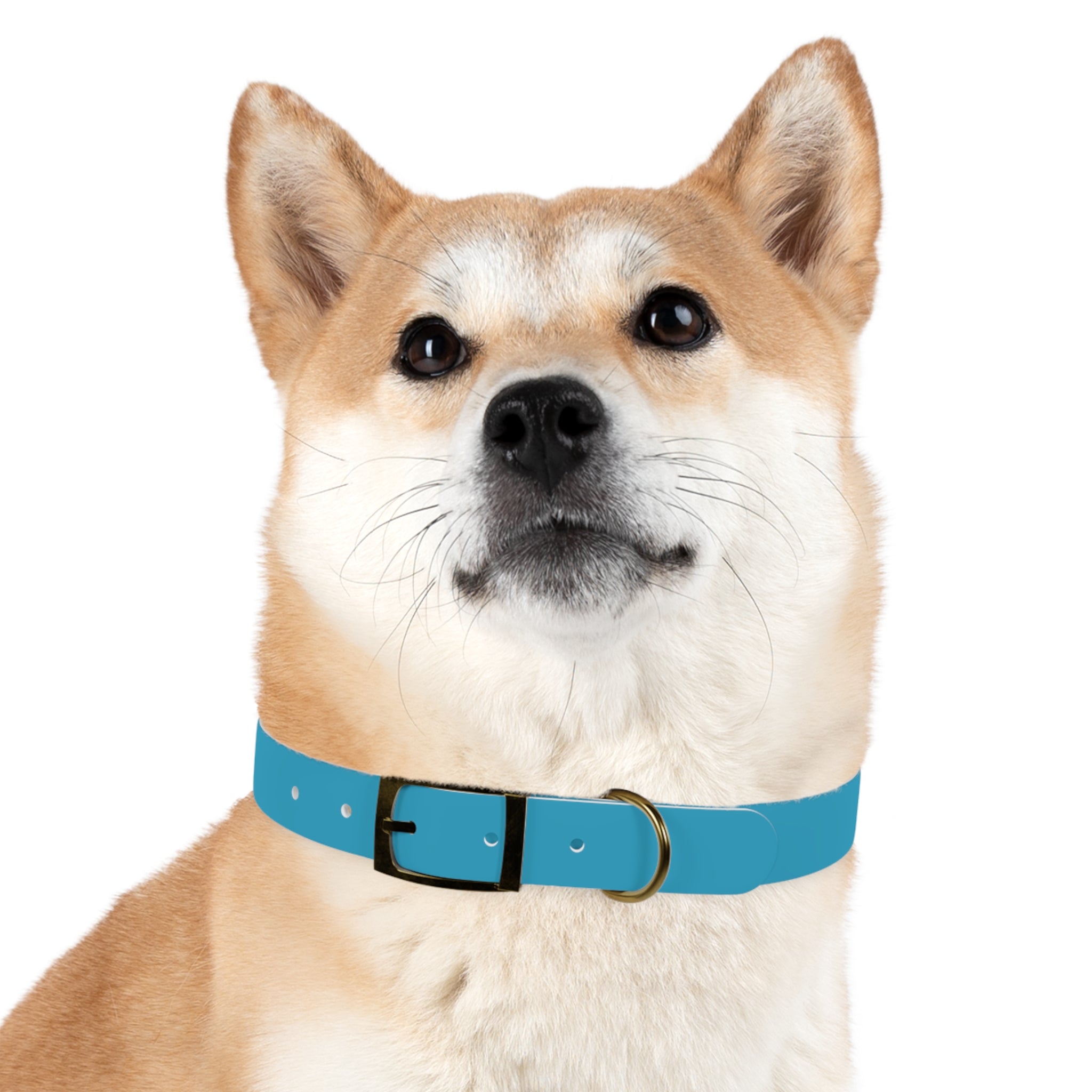 Custom Petiverse Dog Collar - Stylish & Durable Design for Pets