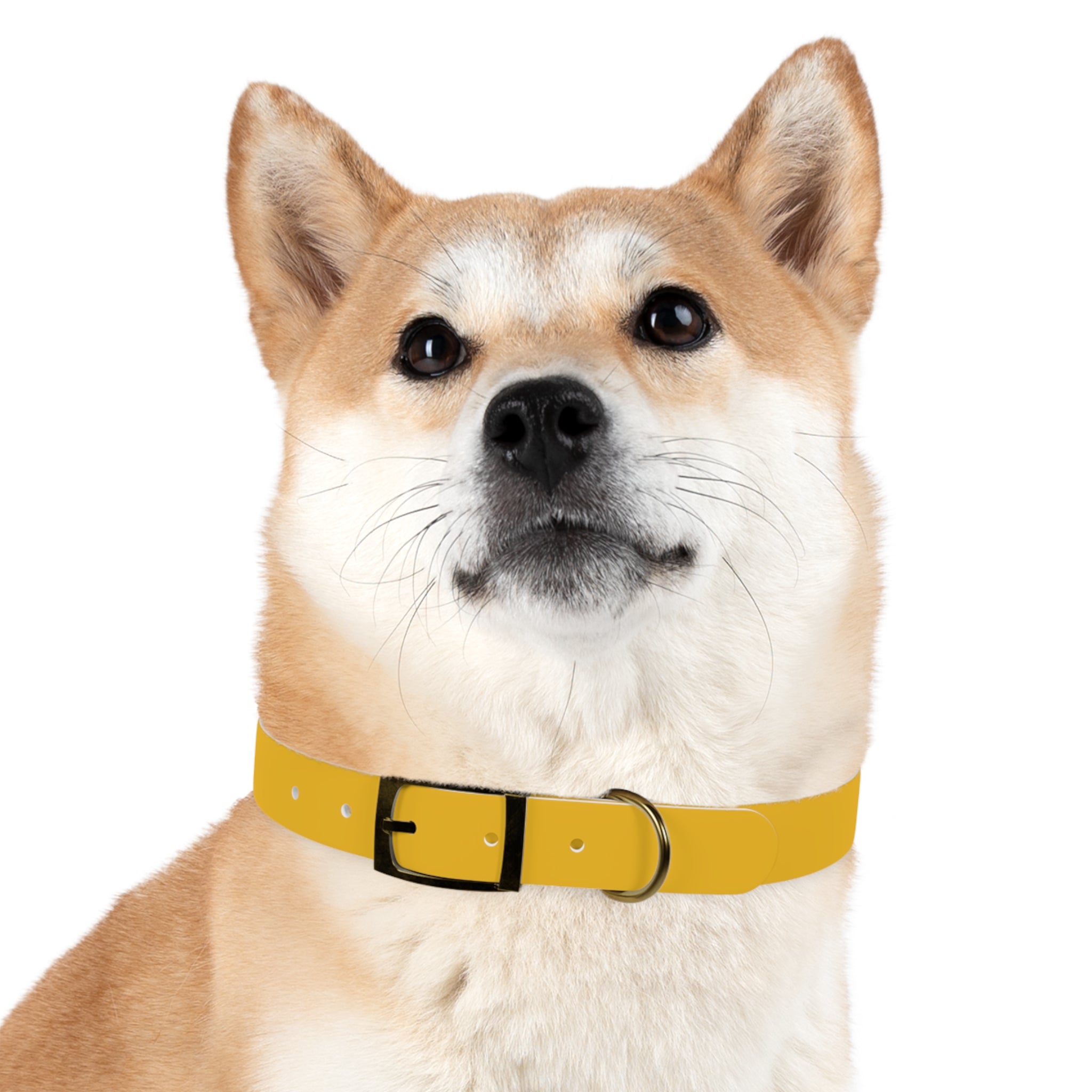 Stylish Yellow Dog Collar - 'Petiverse' Design for Trendy Pets