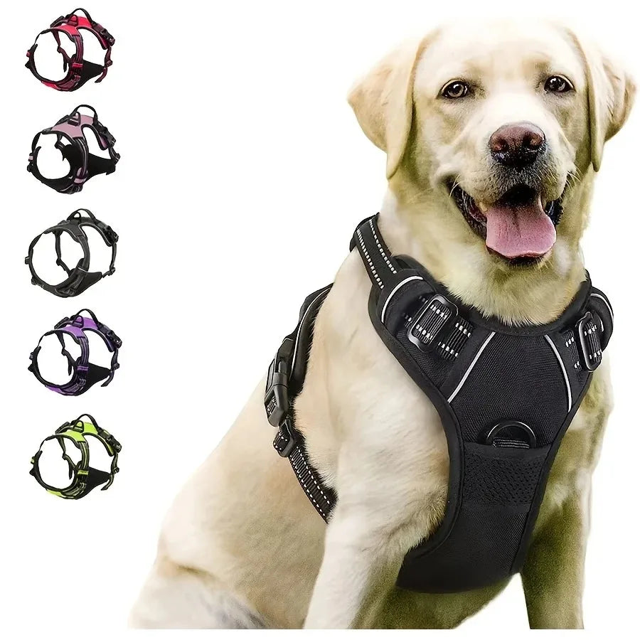 Adjustable Harness