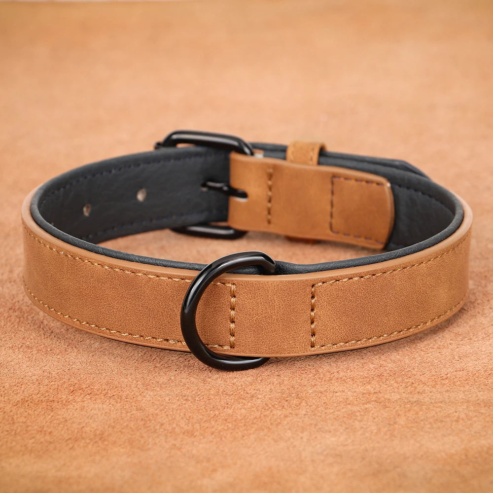 Dog Collar