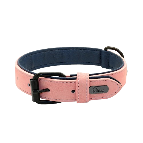 Dog Collar