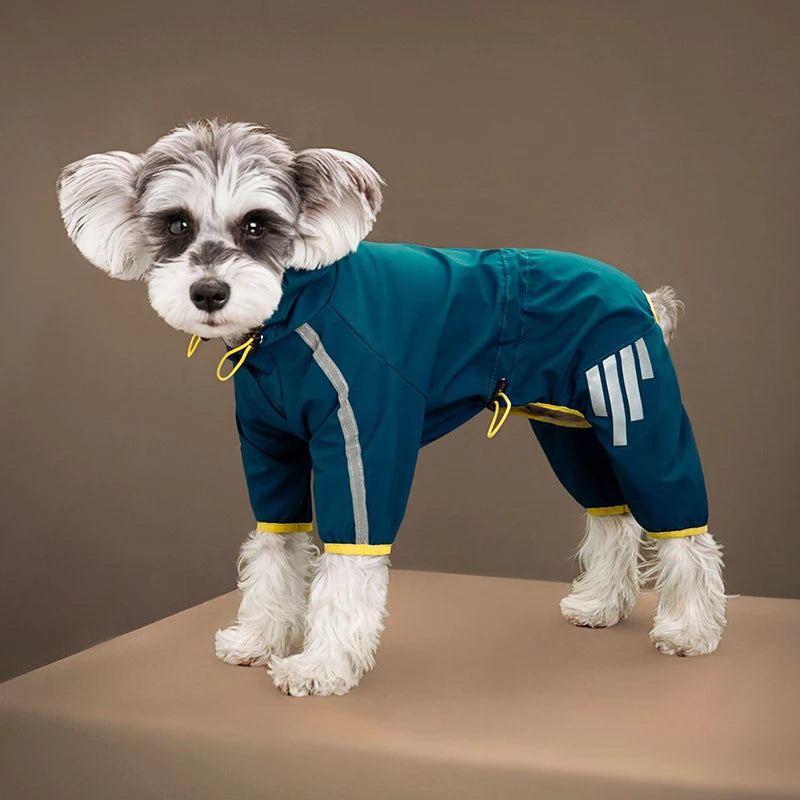 Dog Raincoat With Harness