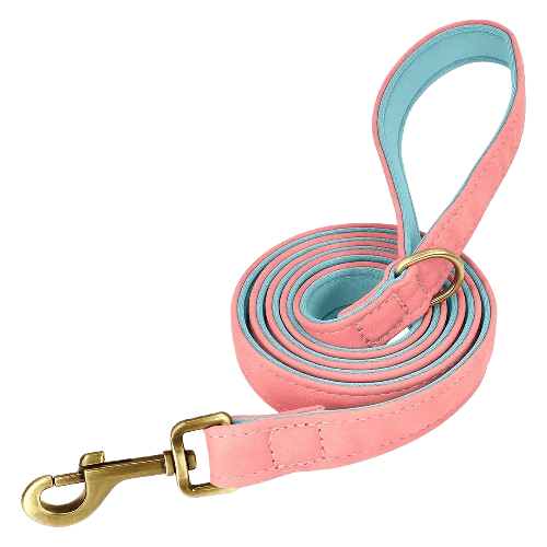 Original Leash