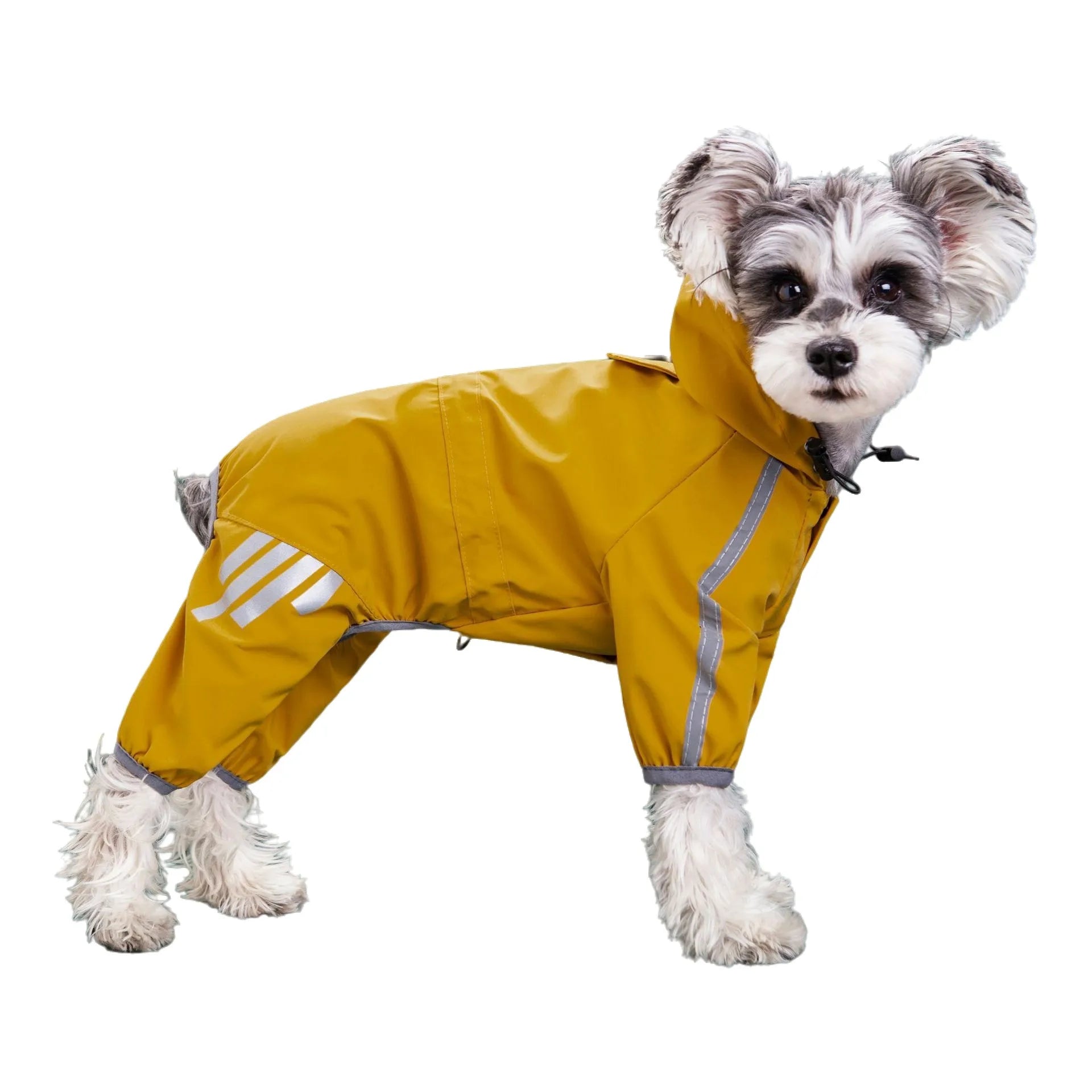 Dog Raincoat With Harness