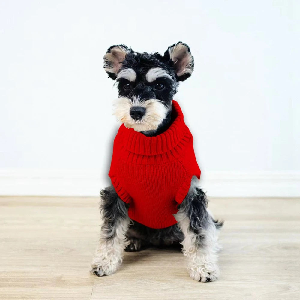 Cable Knit Dog Sweater