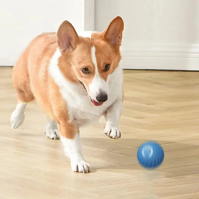 Smart Bouncing Ball