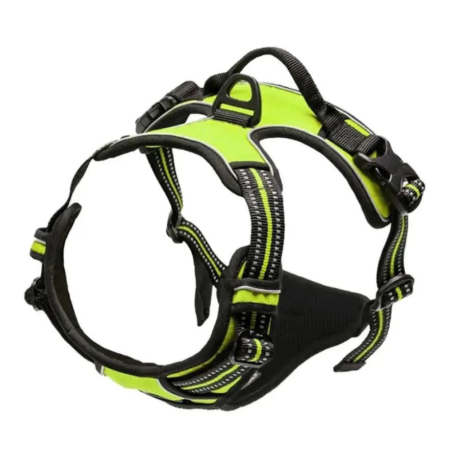 Adjustable Harness