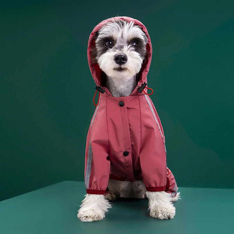 Dog Raincoat With Harness