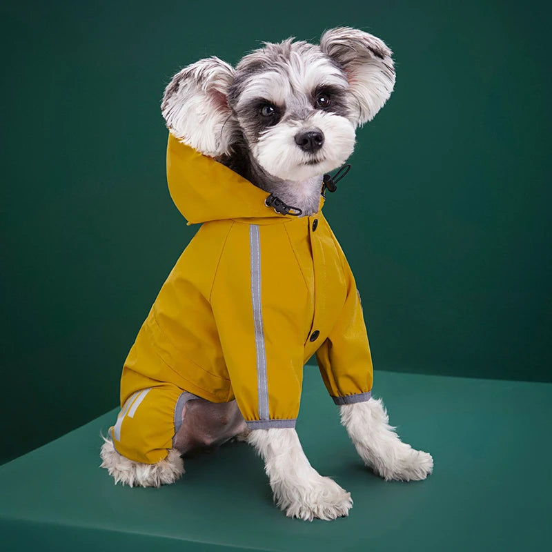 Dog Raincoat With Harness