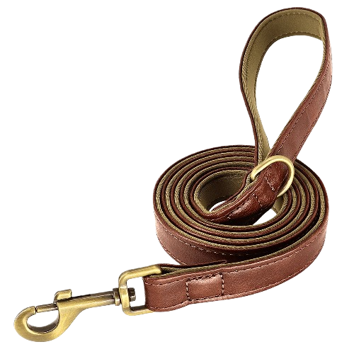 Original Leash