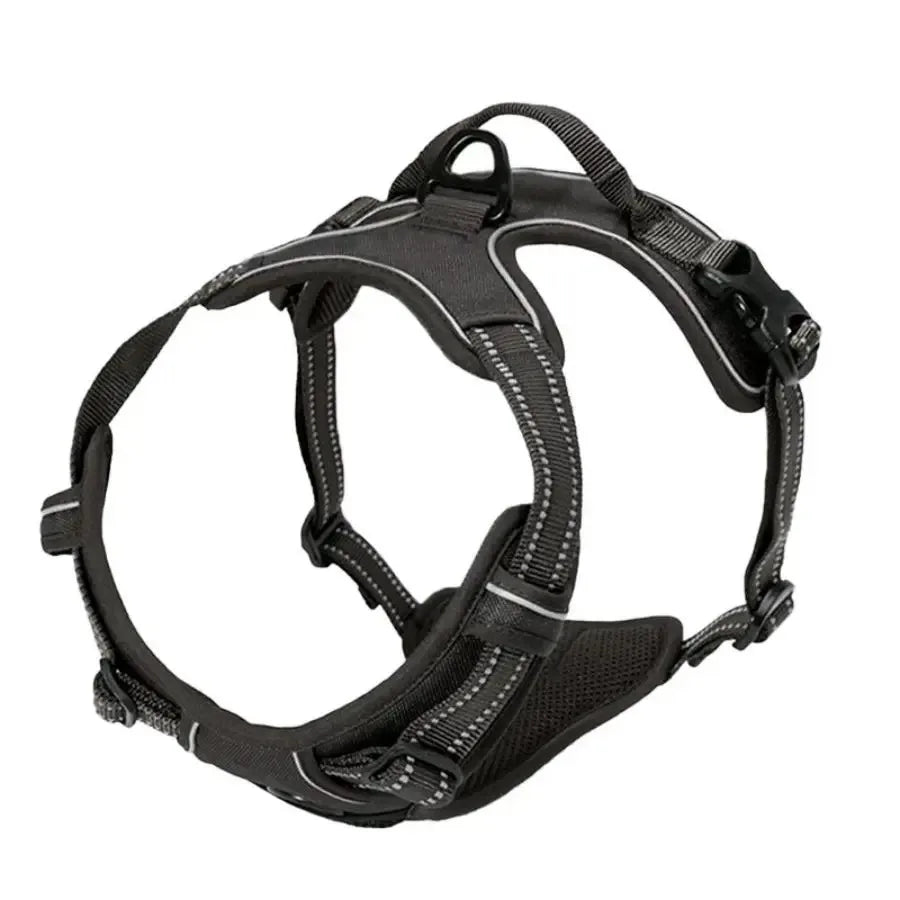 Adjustable Harness